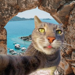 CATOUR logo